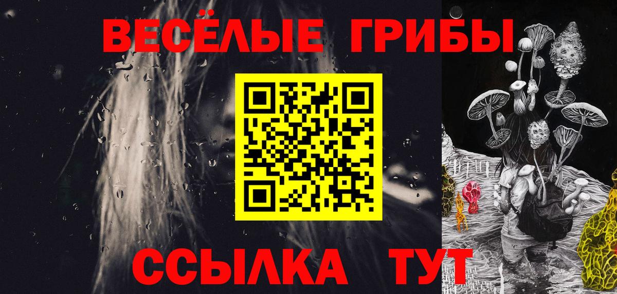 где продают   Вход с VPN  Дальнегорск  Галлюциногенные грибы Psilocybe 